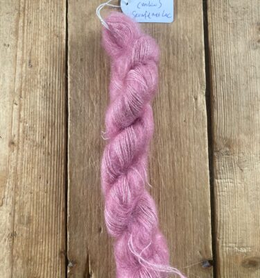 mohini roze