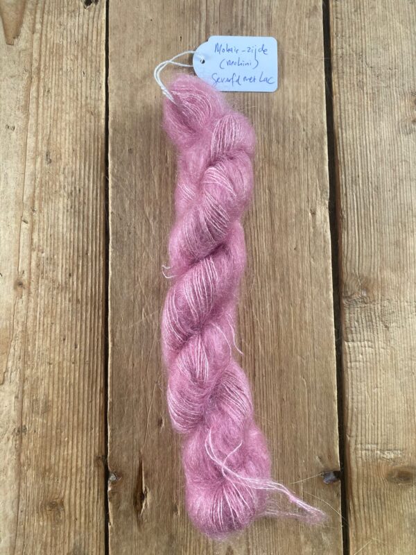 mohini roze